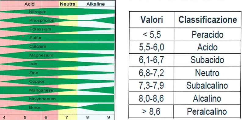 Disponibilita dei singoli elementi in base al PH