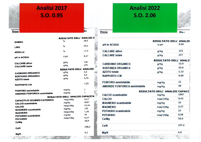 Esperienza pratica di miglioramento dello stato del terreno Vivaio Traversa Lorenzo