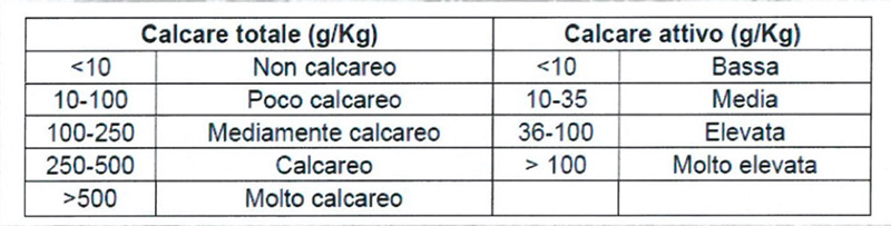 Il suolo Calcare Viavaio Traversa Lorenzo