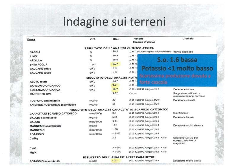 Indagine sui Terreni Vivaio Traversa Lorenzo 2