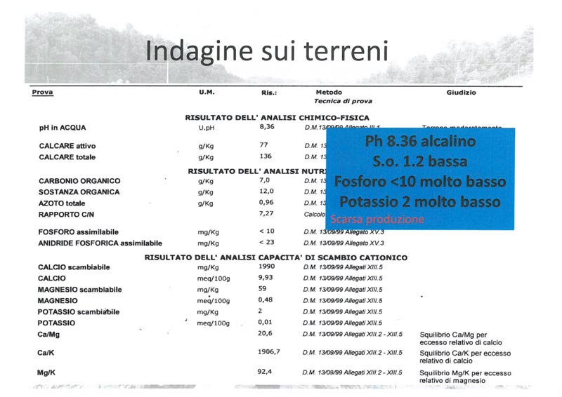 Indagine sui Terreni Vivaio Traversa Lorenzo 3