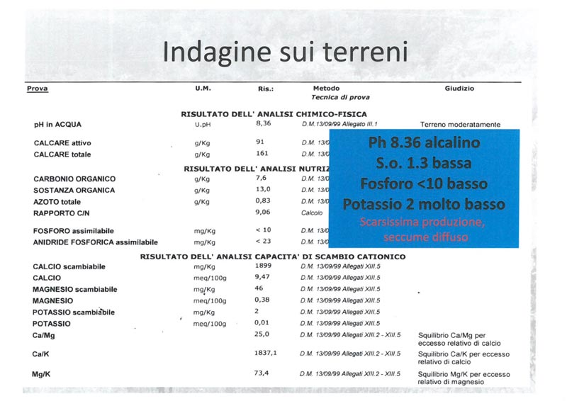 Indagine sui terreni Vivaio Traversa Lorenzo