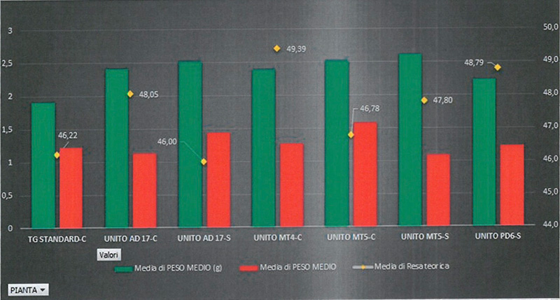 Produzione cloni di tonda gentile Vivaio traversa lorenzo