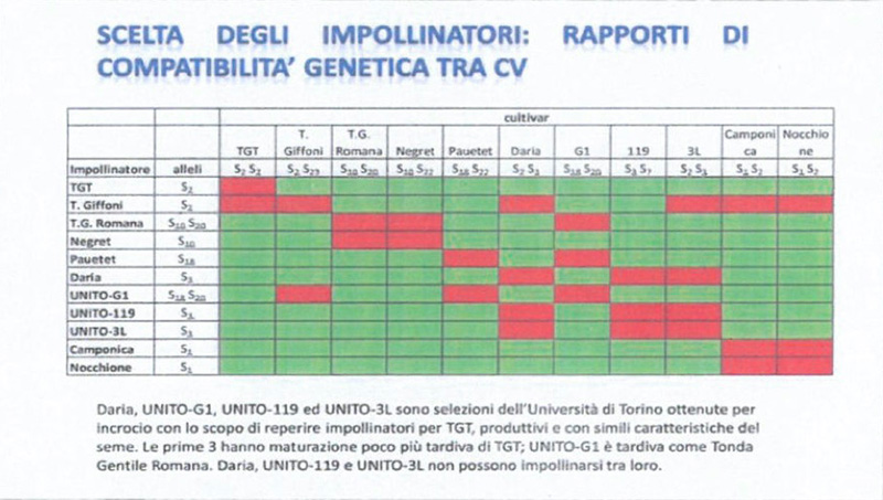 importanza degli impollinatori vivaio traversa